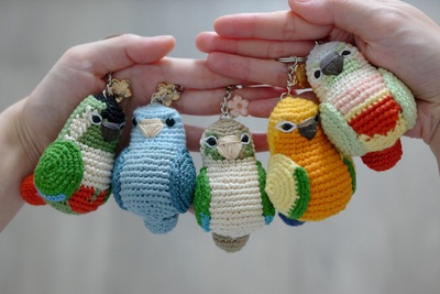 Green Cheek Conure Keychain Crochet