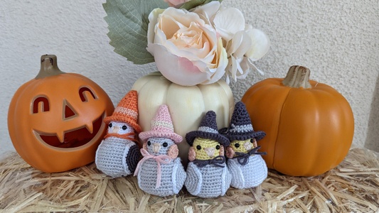 Halloween Cockatiel Witches Crochet