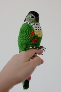 Conure Crochet