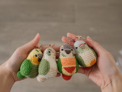 Conure Crochet Keychain